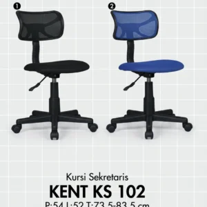 Kent KS 102