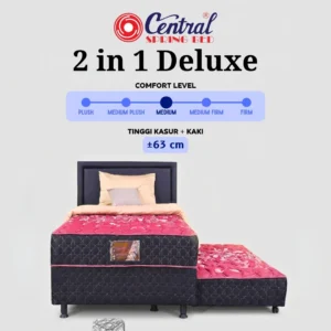 2 in 1 Deluxe (1 Set)