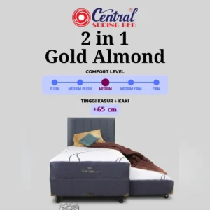 2 in 1 Gold Almond (1 Set)