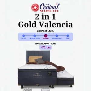 2 in 1 Gold Valencia (1 Set)