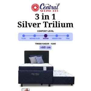 3 in 1 Silver Trilium (1 Set)