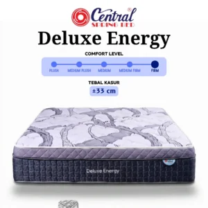 Deluxe Energy