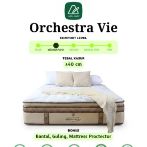 Orchestra Vie