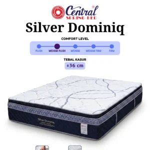 Silver Dominiq