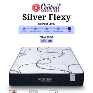 Silver Flexy